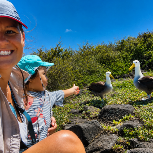 Family observing waved albatrosses on Española Island in the Galápagos