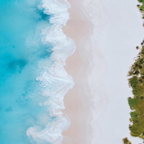 Aerial view of a pristine Galápagos beach with turquoise ocean, white surf, and natural coastal vegetation.