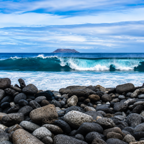 Coastal landscape of North Seymour Island with waves along the Galápagos shoreline