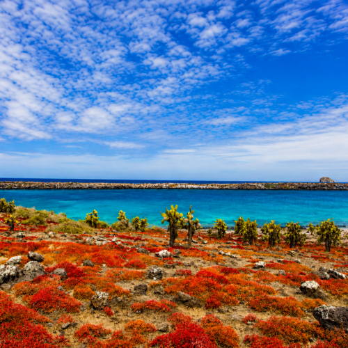 Scenic landscape of Plazas Island in the Galápagos Islands with volcanic terrain and coastal views