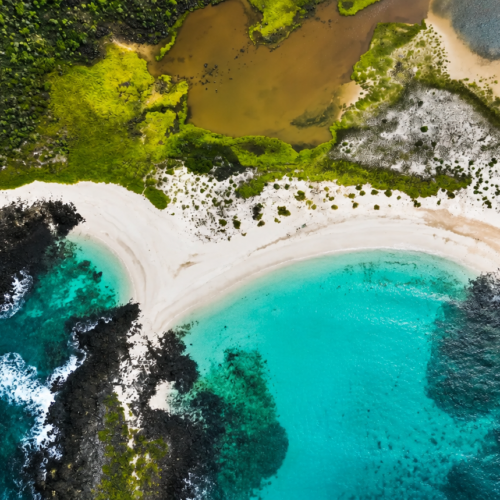 Aerial view of a turquoise Galápagos beach and coastline