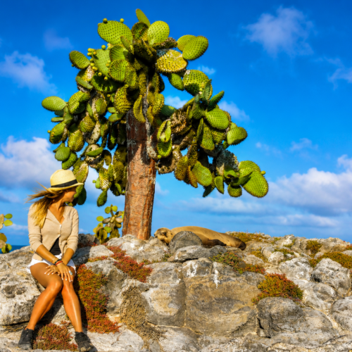 Woman sitting beneath a giant prickly pear cactus in the Galápagos landscape