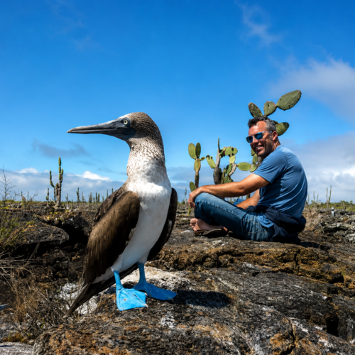 Blue-footed booby standing on volcanic rock with a traveler in the Galápagos