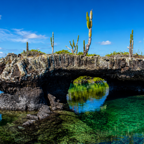Volcanic lava arch surrounded by cacti and clear turquoise water in the Galápagos Islands.
