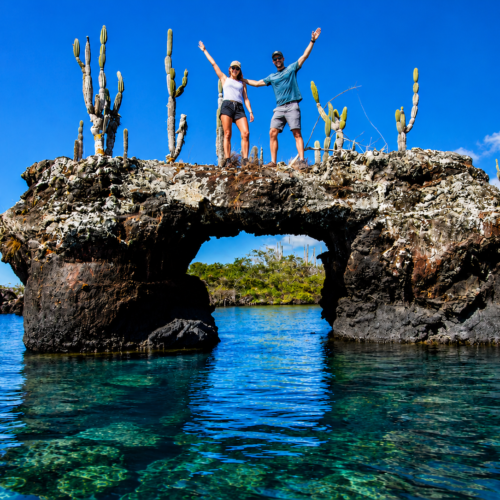 Two travelers pointing at a sea turtle swimming beneath a volcanic rock arch in the Galápagos