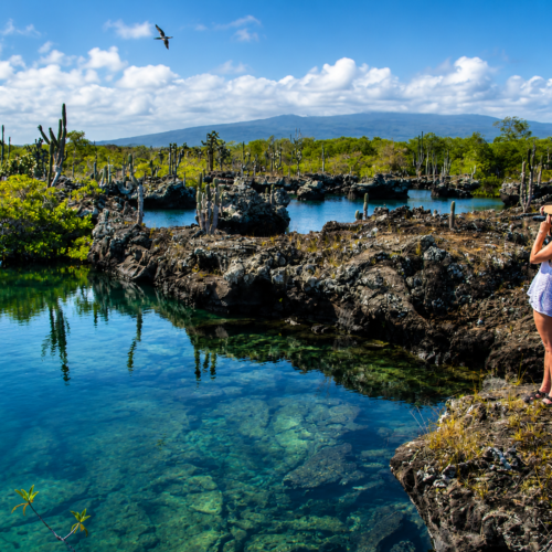 Traveler observing a volcanic lagoon surrounded by lava rock and cacti in the Galápagos