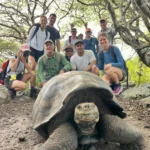 Galapagos Islands Tortoises