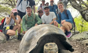 Galapagos Islands Tortoises