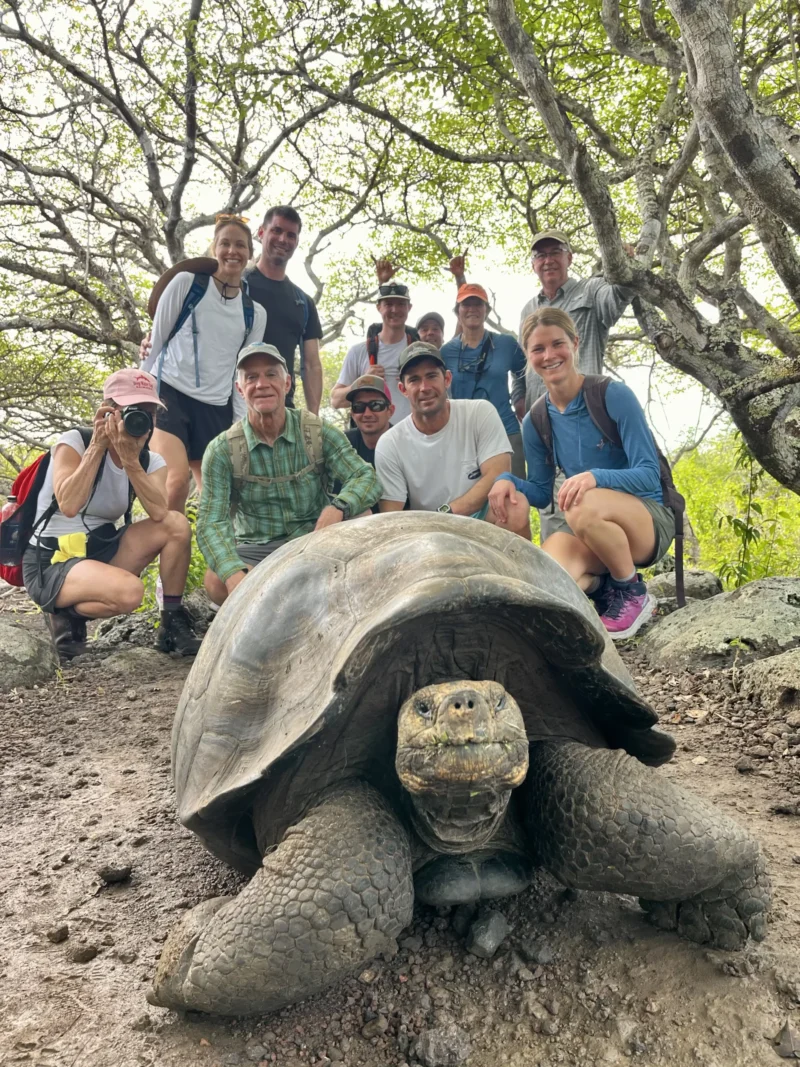 Galapagos Islands Tortoises