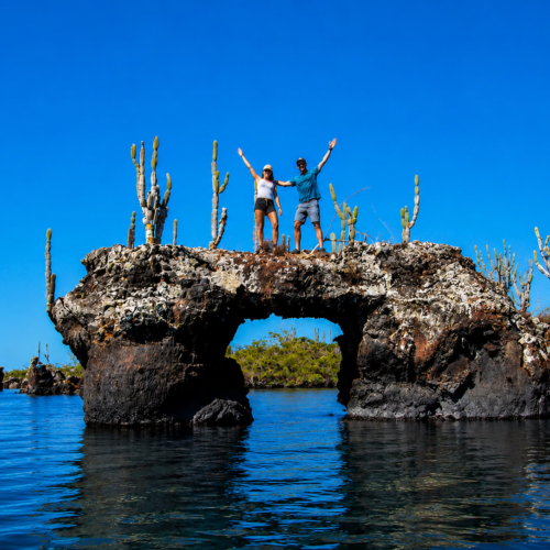 Los Túneles Isabela Tour with volcanic lava formations and Galápagos visitors