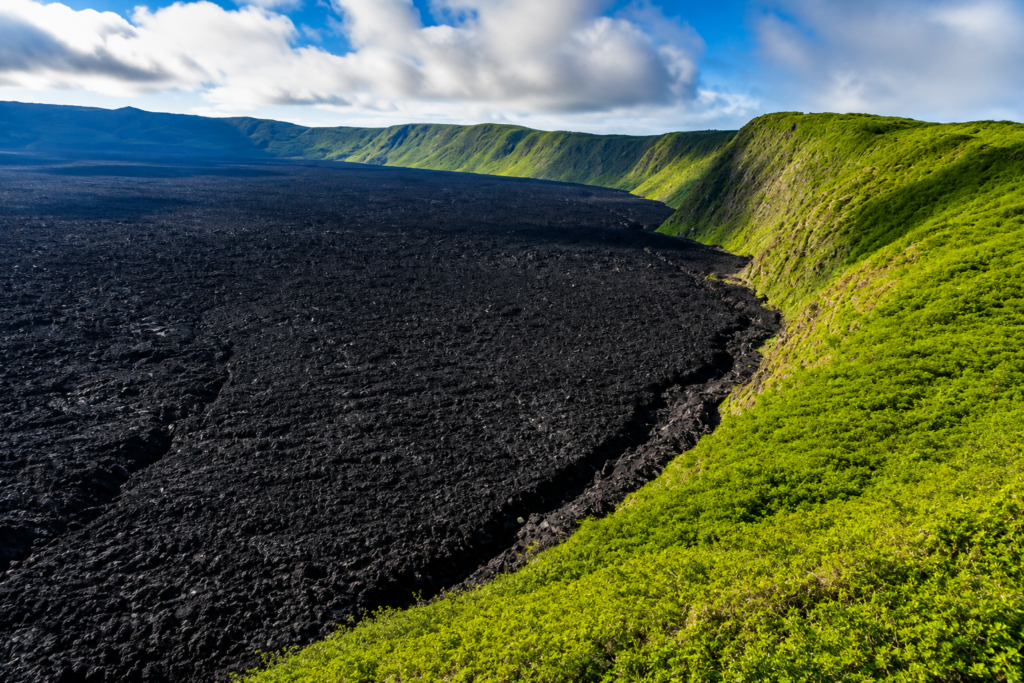 Galápagos black lava field surrounded by lush green volcanic cliffs