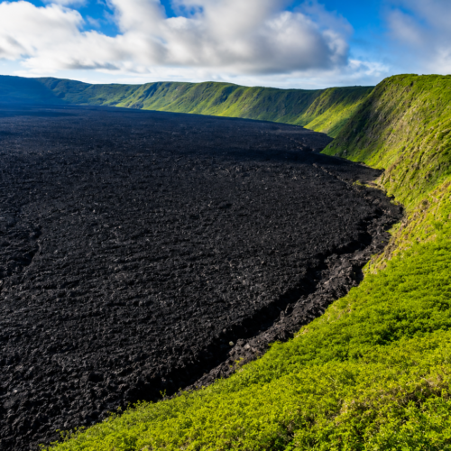 Galápagos black lava field surrounded by lush green volcanic cliffs