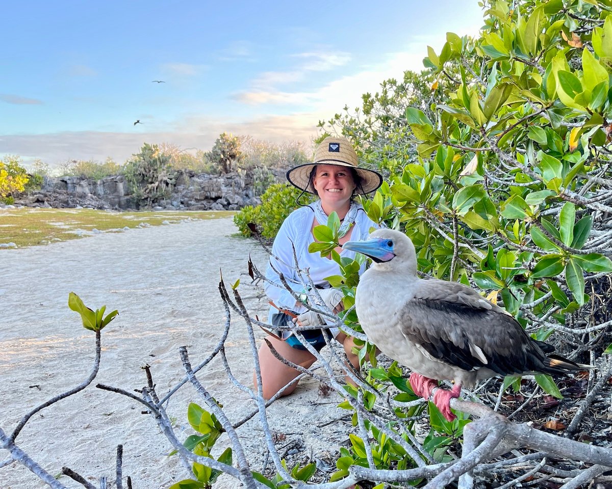 galapagos islands naturalist guide 07