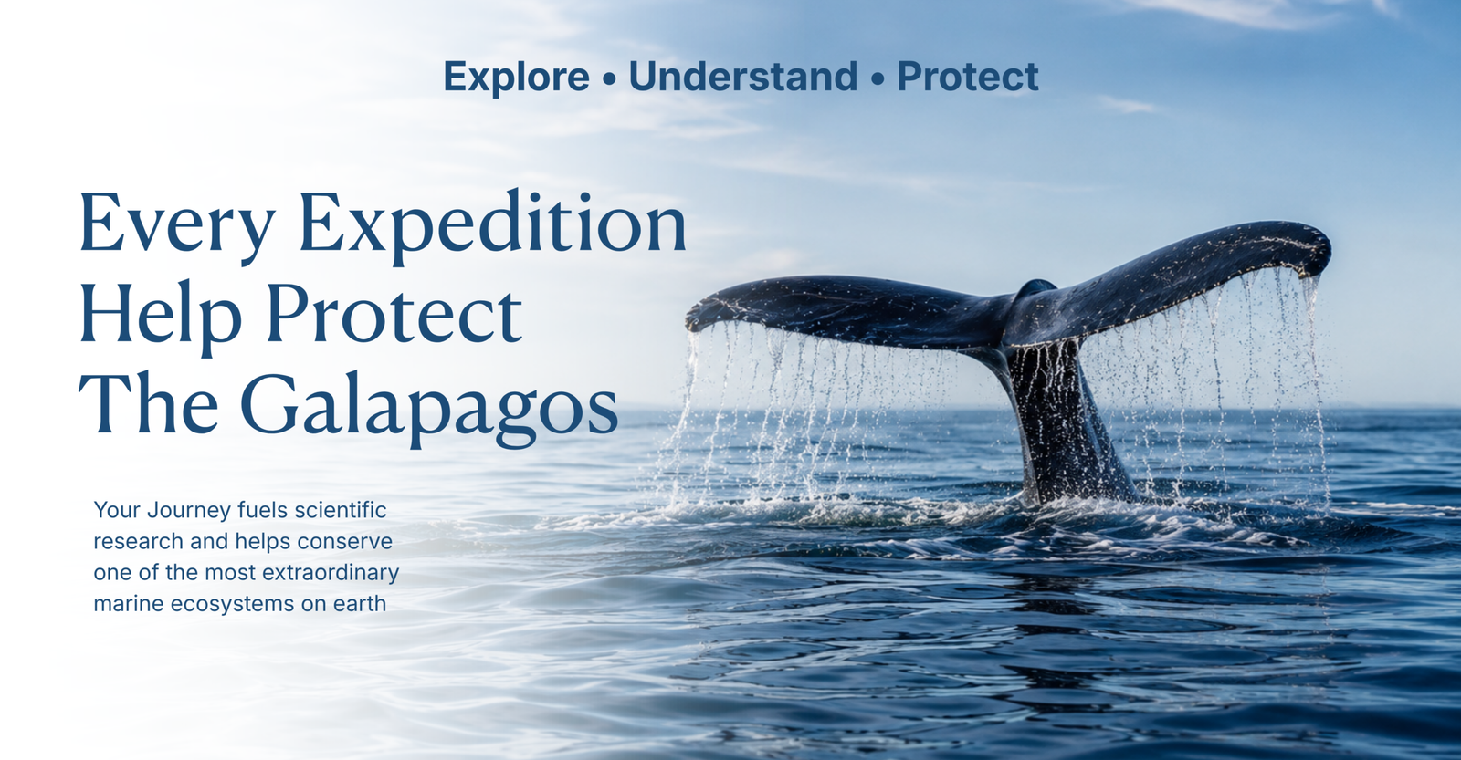 Researchers studying whales and dolphins in the Galápagos to support marine conservation.