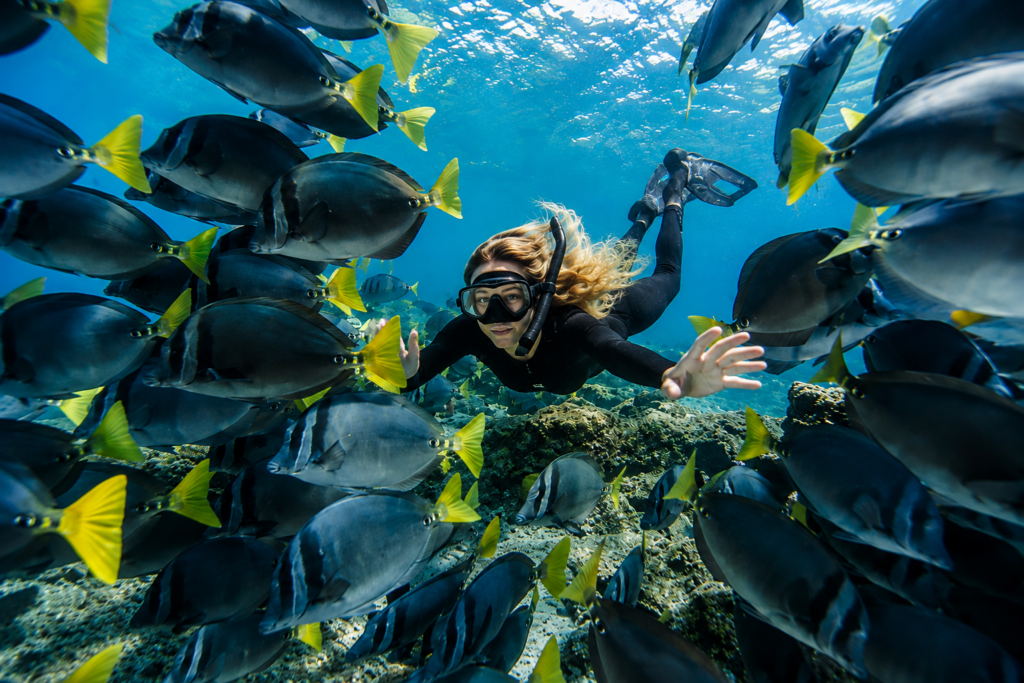 Snorkeler exploring clear blue waters and marine life in the Galápagos Islands