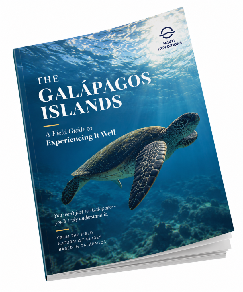 Nauti Expeditions free Galápagos travel guide featuring a sea turtle underwater