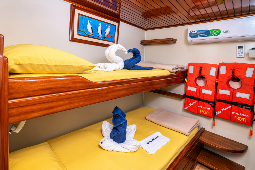 Comfortable cabin aboard a mid-range Galápagos cruise in Ecuador