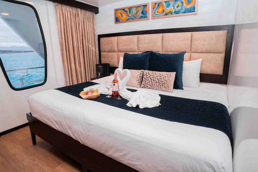 Alya Catamaran Galápagos cruise – cabin