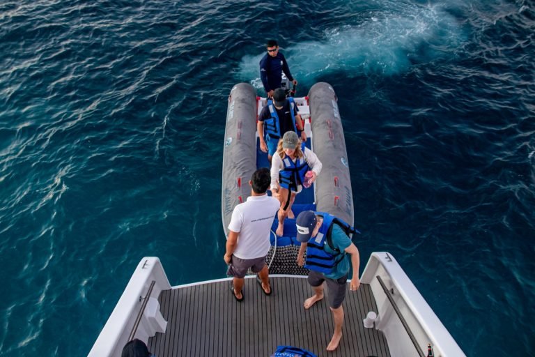 Anahi Catamaran Galápagos cruise – activity