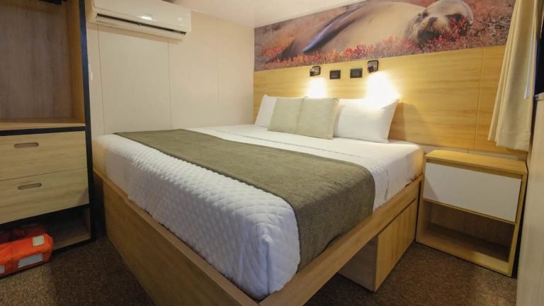 Bonita Yacht Galápagos cruise – cabin