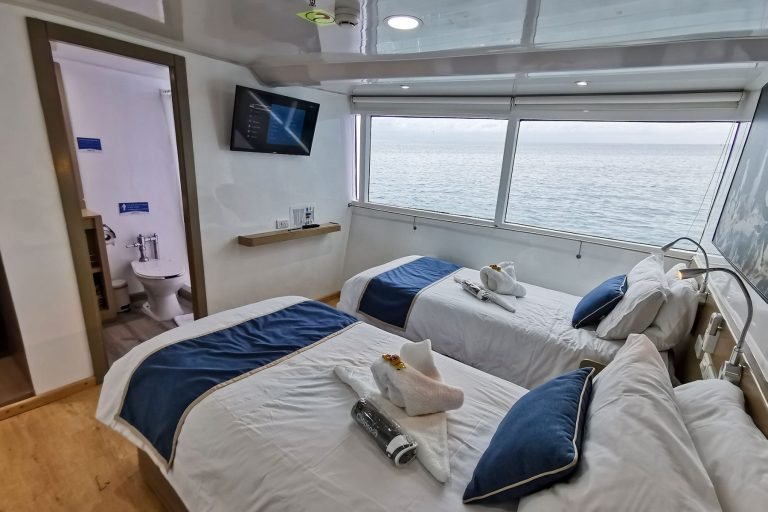Calipso Yacht Galápagos cruise – cabin