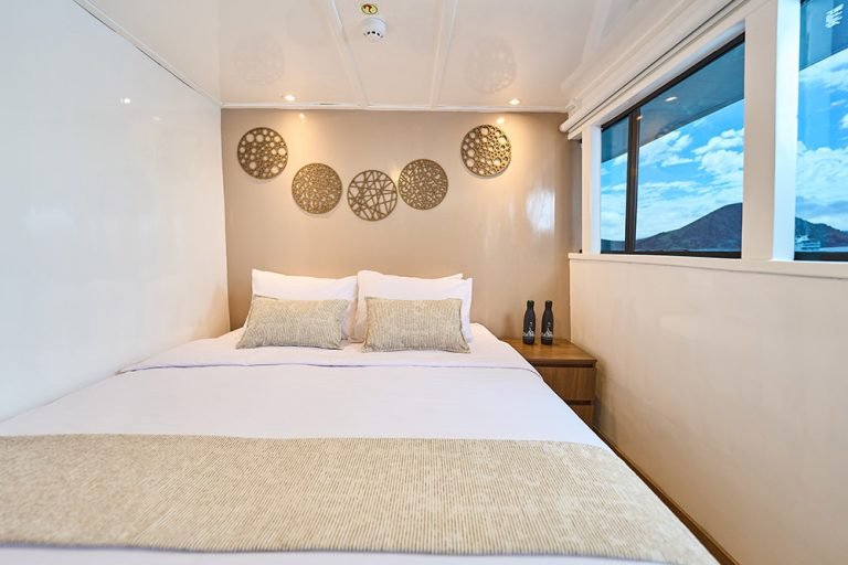 Monserrat Yacht Galápagos cruise – cabin