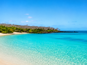 galapagos beach