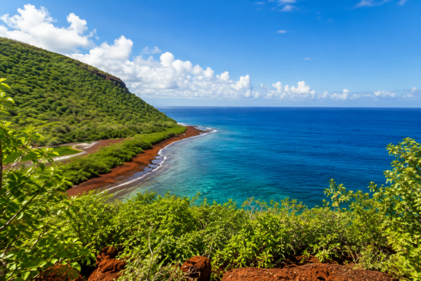Galápagos landscape during the dry season with clear skies and rugged volcanic terrain