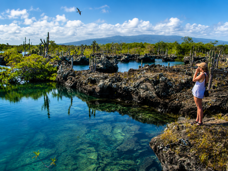 Traveler observing a volcanic lagoon surrounded by lava rock and cacti in the Galápagos