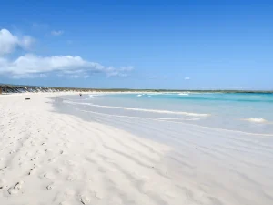 Galapagos-islands-TORTUGA BAY 3