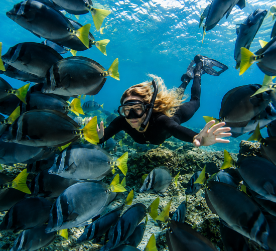 Snorkeler exploring clear blue waters and marine life in the Galápagos Islands
