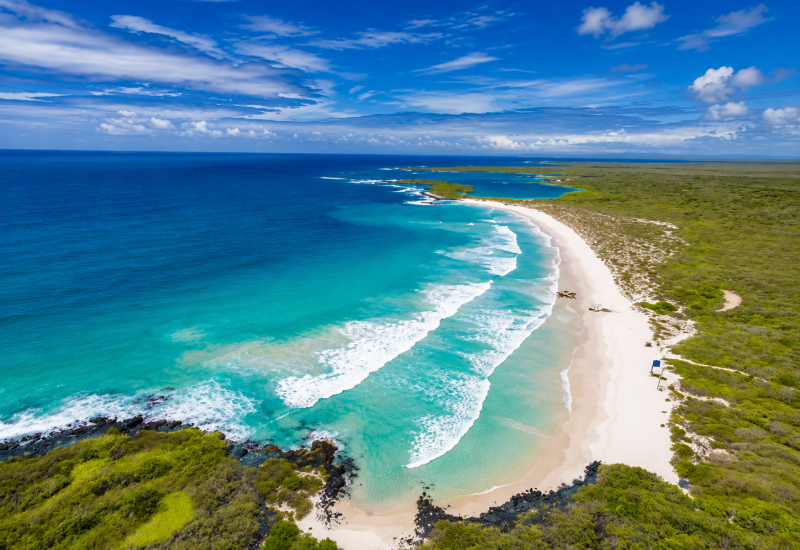 Scenic view of Tortuga Bay on Santa Cruz Island in the Galápagos