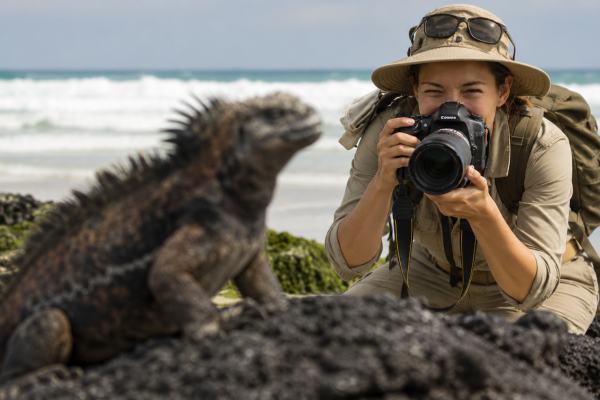 Woman photographing a Galápagos land iguana in its natural habitat