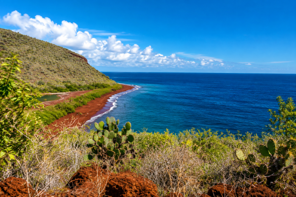 Sunny tropical landscape during the hot season in the Galápagos Islands
